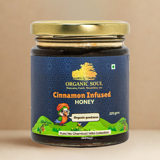 Organic Soul Cinnamon Infused Honey – 225gm | 100% Organic | Raw &amp; Pure
