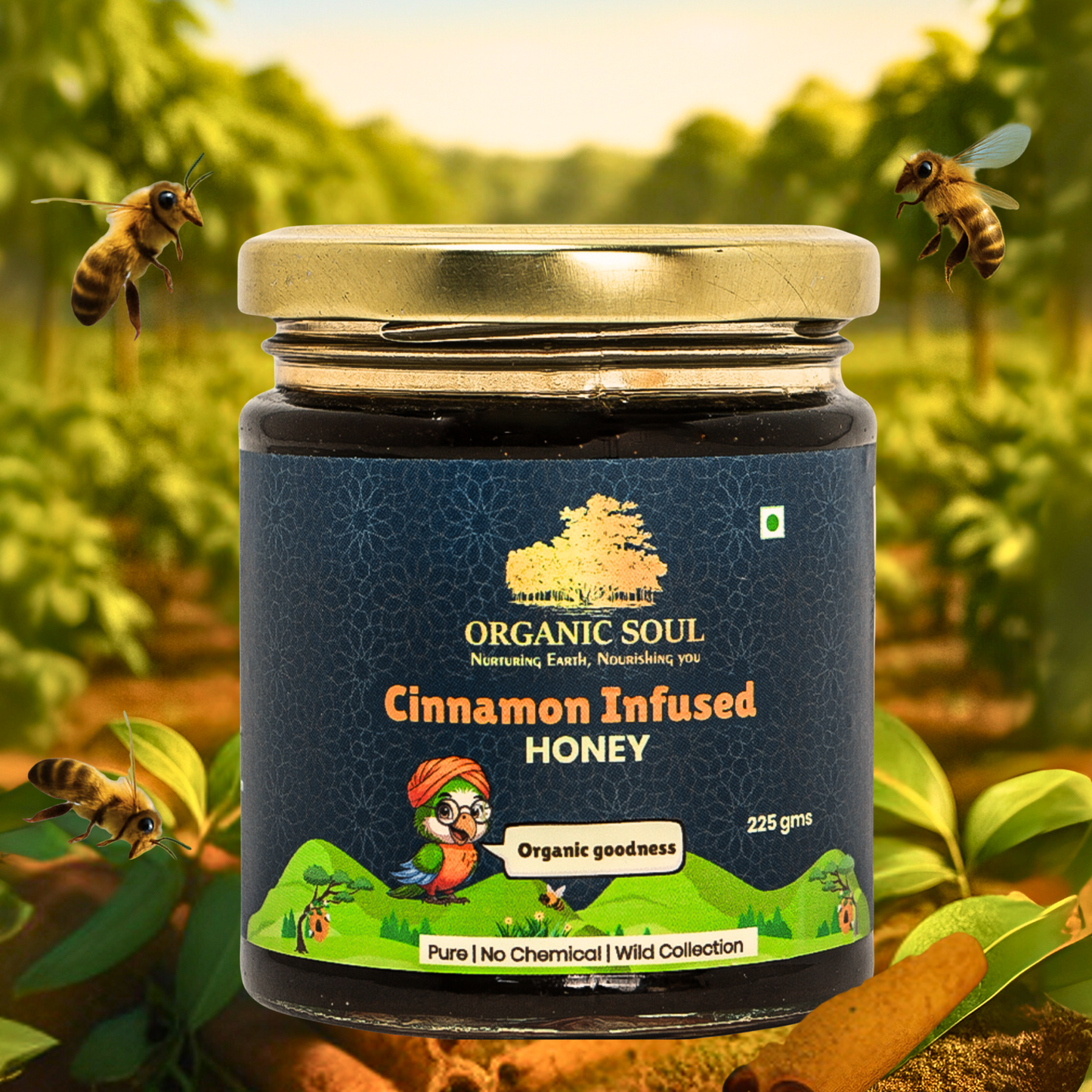Organic Soul Cinnamon Infused Honey – 225gm | 100% Organic | Raw &amp; Pure