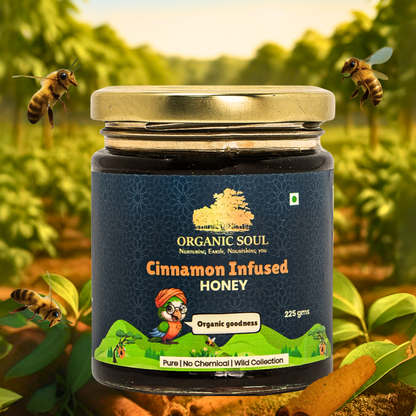 Organic Soul Cinnamon Infused Honey – 225gm | 100% Organic | Raw &amp; Pure