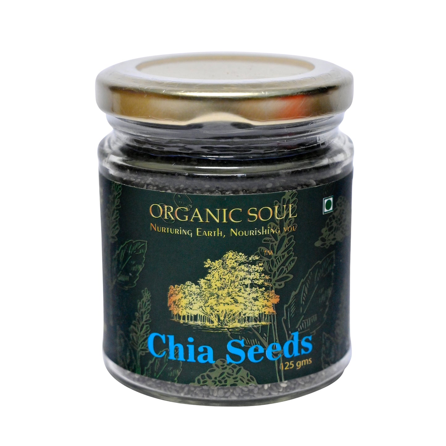 Organic Soul - Organic Chia Seeds for Weight Loss, (125 gm, Pack of 2) | Omega 3 Rich Raw Chia Seed