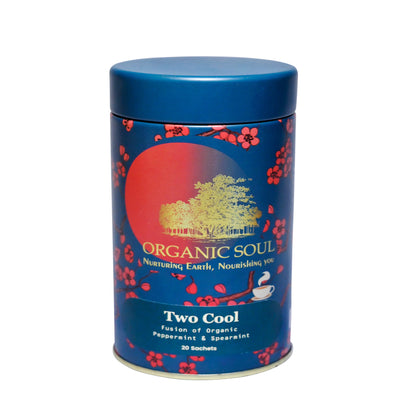 Organic Soul - Two Cool Leaves Tea, 20 Sachets (Herbal Leaf Chai)(36 gm)