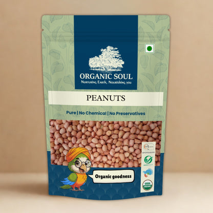 Organic Soul Peanuts | 450 gms